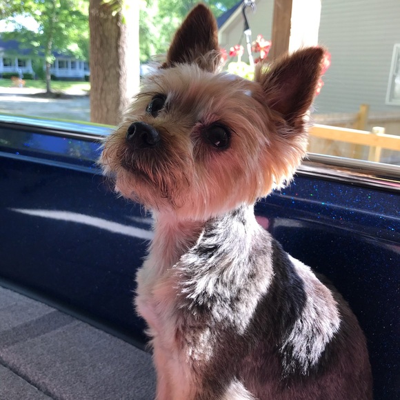 Me!! 💁🏻‍♀️🌸✨🦈 - Picture 9 of 16